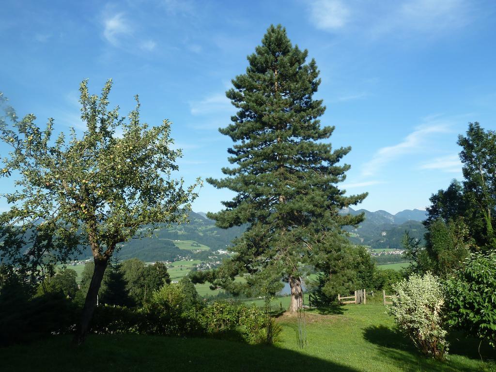 Pension Schoene Aussicht Kuchl Buitenkant foto