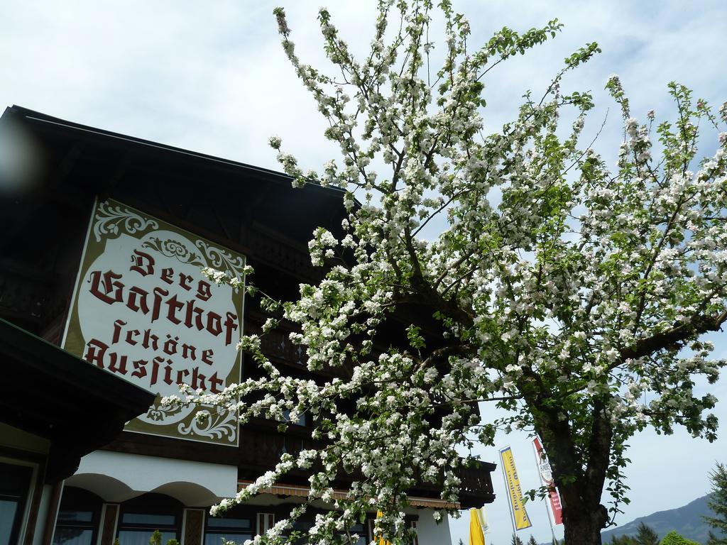 Pension Schoene Aussicht Kuchl Buitenkant foto