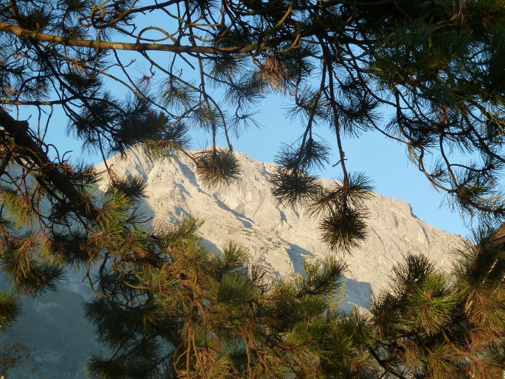 Pension Schoene Aussicht Kuchl Buitenkant foto
