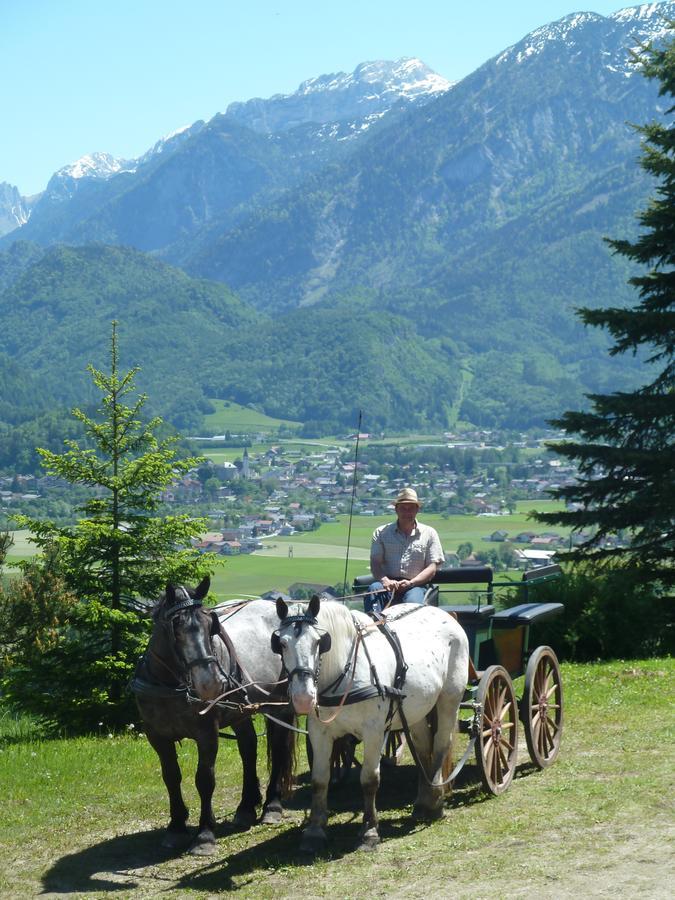 Pension Schoene Aussicht Kuchl Buitenkant foto